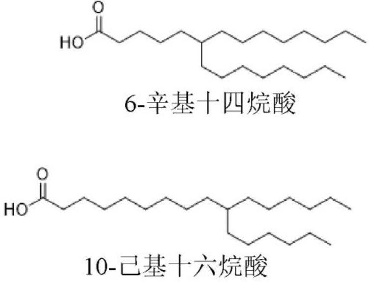 代谢病症相关靶基因iRNA组合物和其使用方法与流程