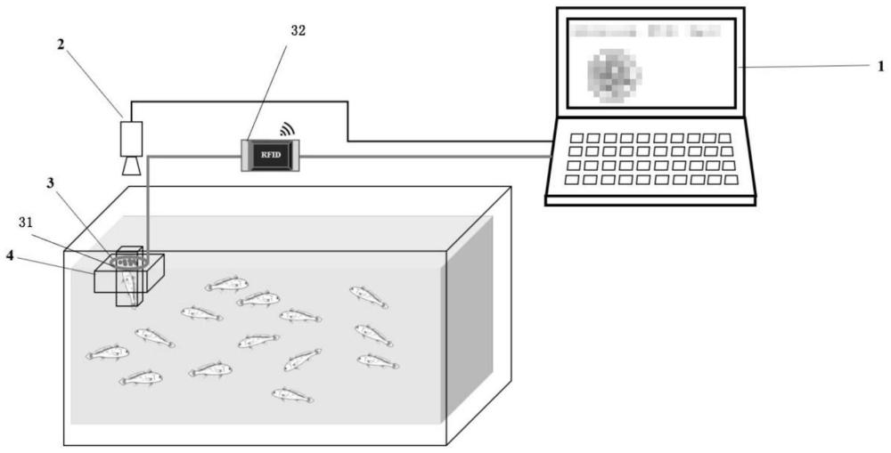 一种基于机器视觉的鱼类群体中个体摄食量精准测量系统