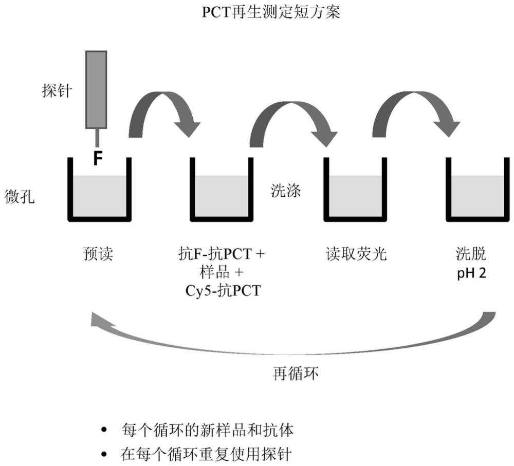 用于在免疫测定中重复使用半抗原涂覆的探针的方法与流程