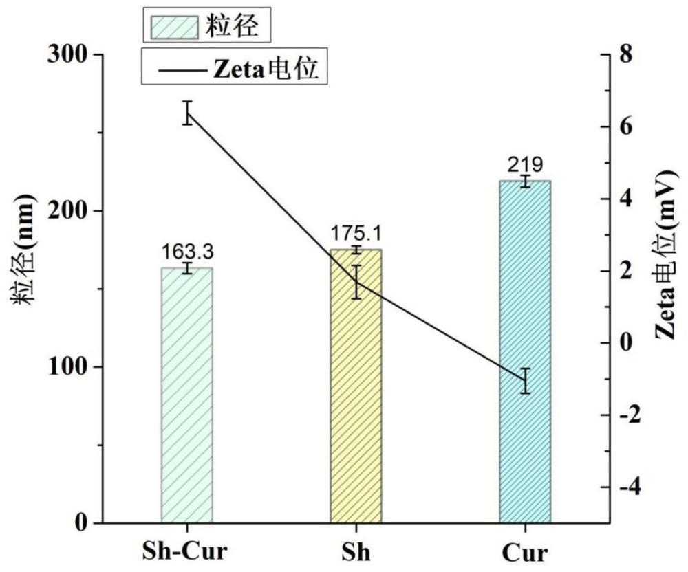 一种紫草素姜黄素脂质体及其制备方法与应用与流程