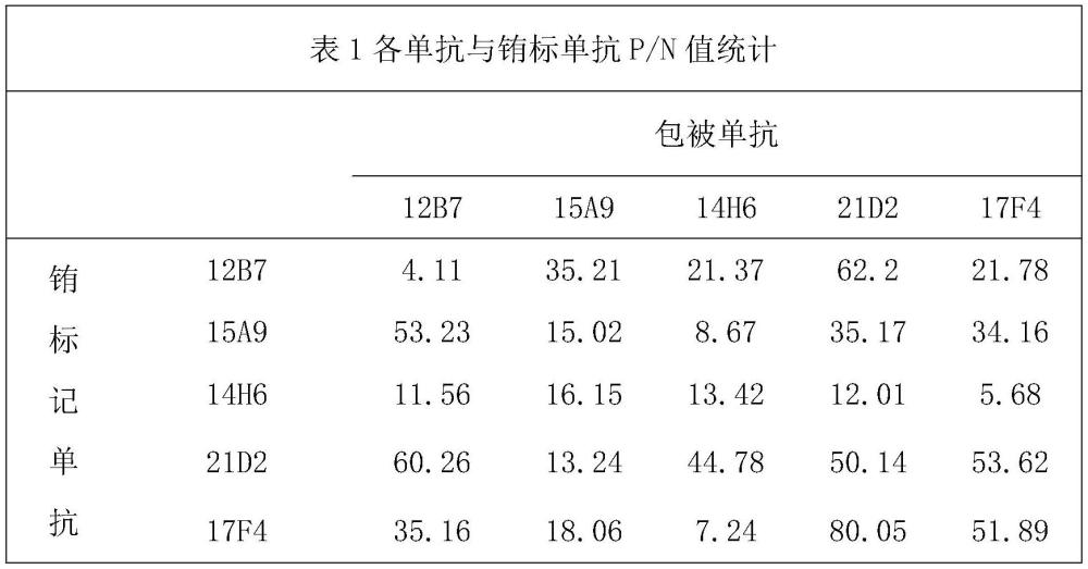 抗狂犬病毒N蛋白单克隆抗体、质粒载体组合及制备方法与流程