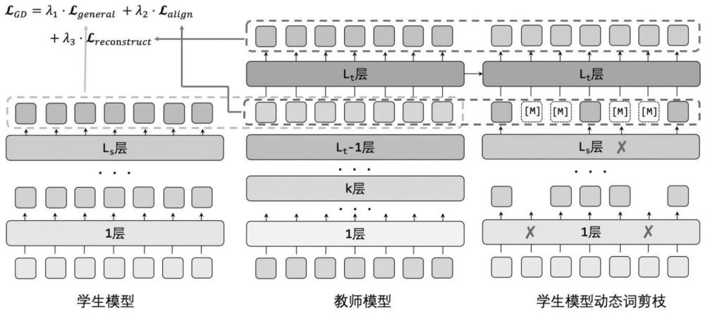 一种结合知识蒸馏和动态词剪枝的语言模型轻量化方法