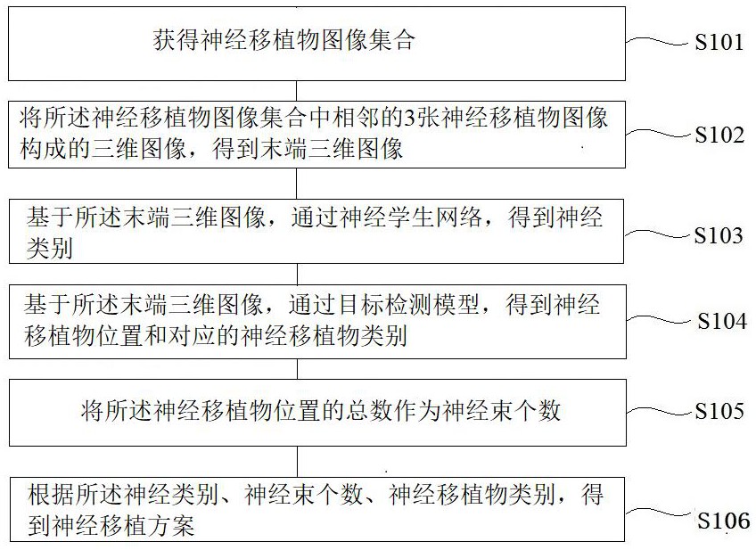 一种基于大数据的神经移植方案推荐方法及系统与流程