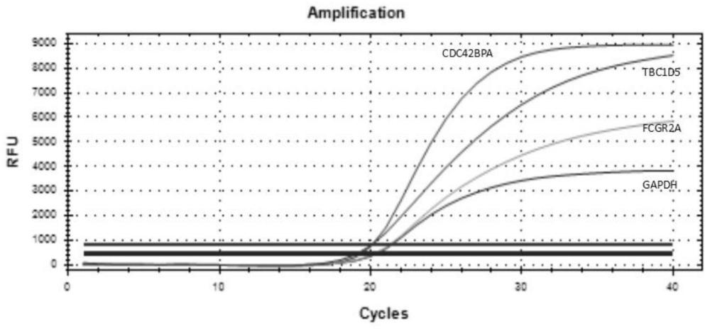 检测FCGR2A、TBC1D5和CDC42BPA的试剂盒