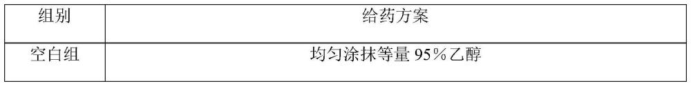 杉木油在制备促进毛发生长和缓解脱发的药物中的应用的制作方法