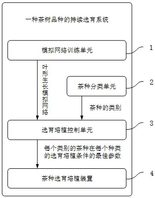 一种茶树品种的持续选育方法及系统与流程