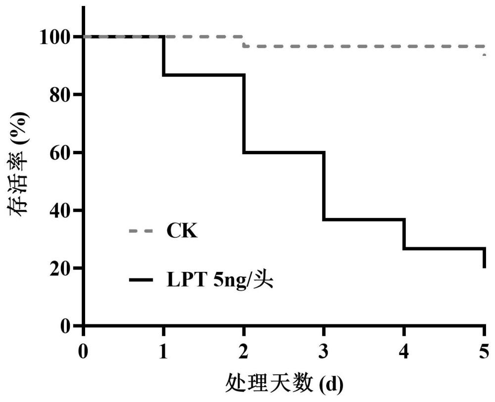 亮肽素盐酸盐小分子肽在防治农业害虫中的应用的制作方法