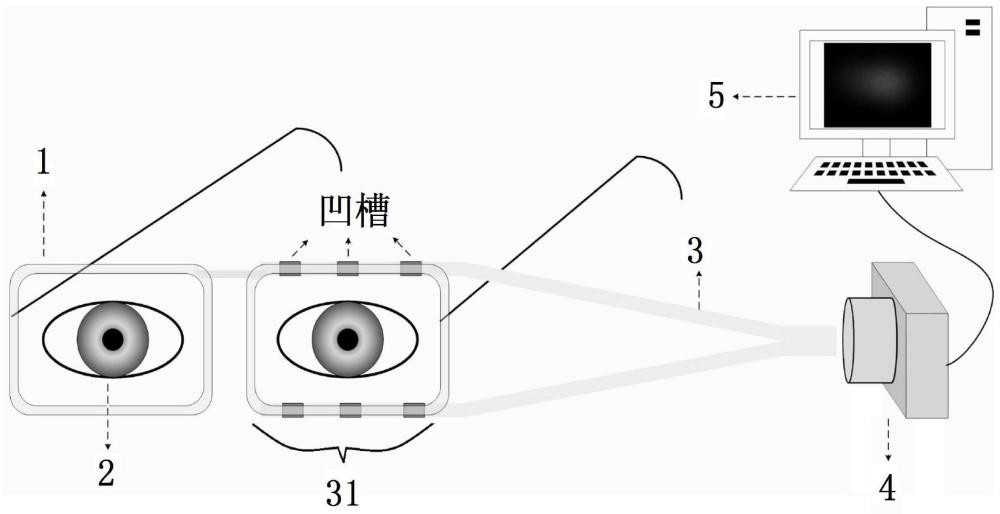 一种基于塑料光纤实现眼球追踪的装置和方法与流程