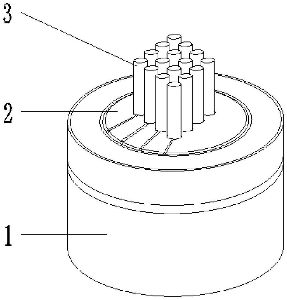 一种微型针状电极加工稳定装置的制作方法