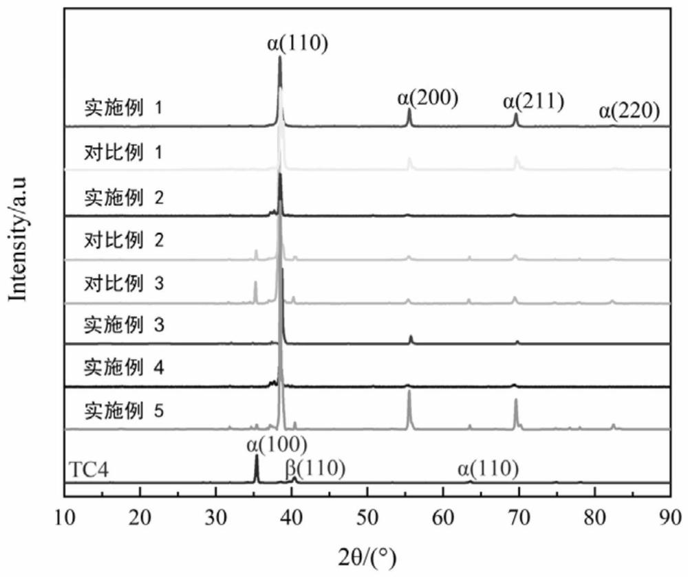 一种高性能医用钽涂层的制备方法