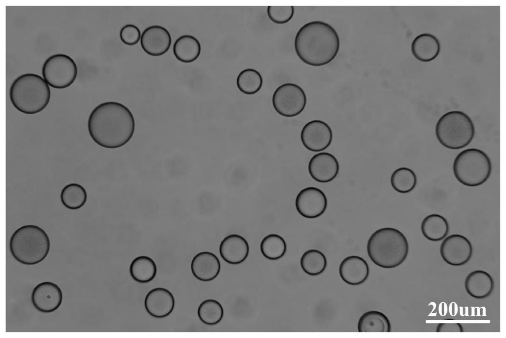 一种羧甲基琼脂糖微球的制备方法及其产品与流程