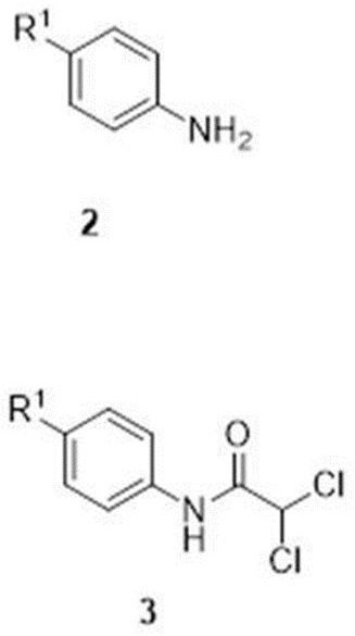 一种新的合成阿哌沙班中间体3,3-二氯-1-（4-取代苯基）哌啶-2-酮的方法