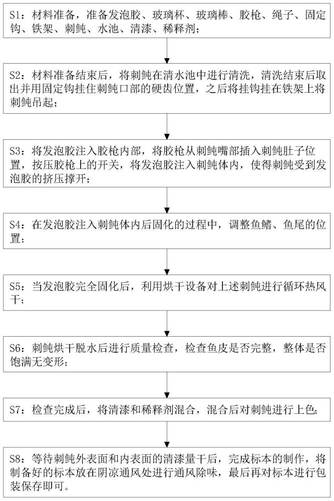 一种刺鲀干制标本无损制作方法