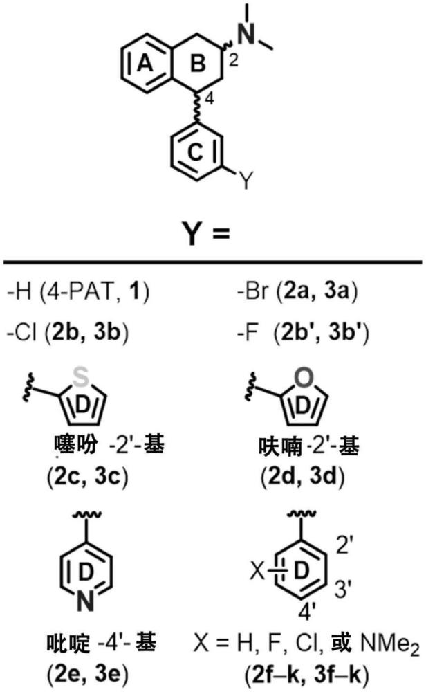 血清素5-HT2A、5-HT2B和5-HT2C受体反向激动剂