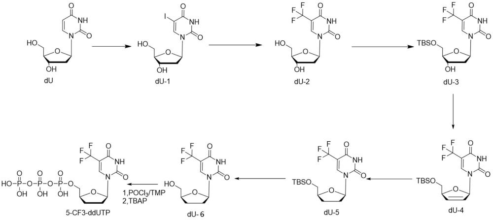 5-三氟甲基-2',3'-双脱氧尿苷-5'-三磷酸的合成方法及其应用与流程