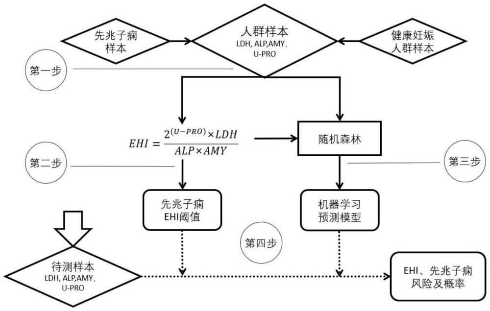 一种基于关键酶融合指标EHI的先兆子痫风险预测模型