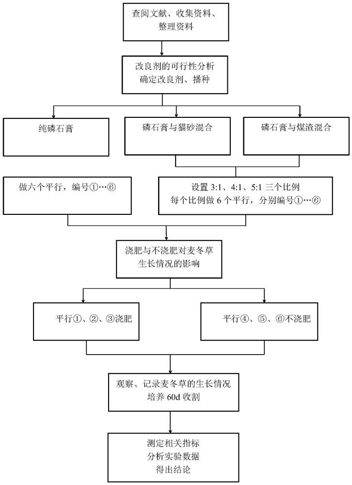 一种提高麦冬草成活率、修复磷石膏土壤的方法