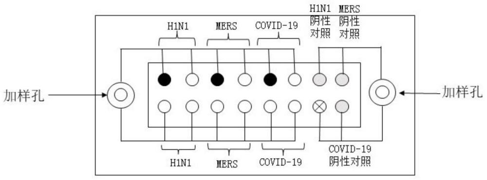 一种基于微流控芯片技术的呼吸道疾病病原体检测方法