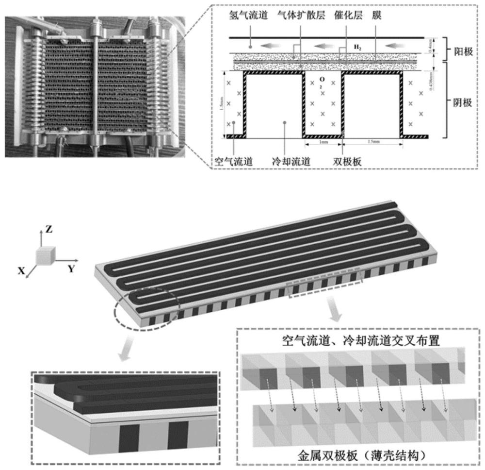 金属板燃料电池多物理场建模及正交试验分析方法