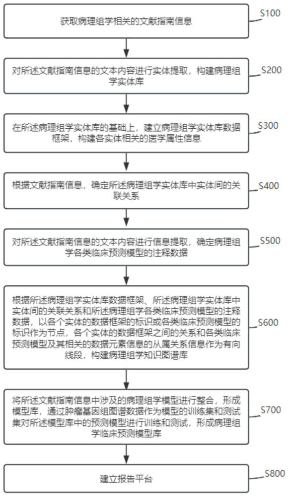 一种基于病理组学知识库的辅助诊疗系统及构建方法与流程