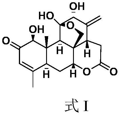 臭椿酮在制备预防和/或治疗乳腺癌药物中的应用的制作方法