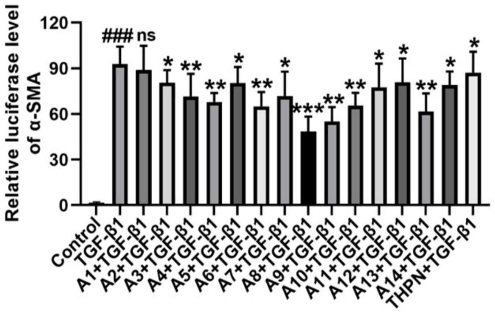 多取代苯基类Nur77受体调控剂制备方法及其在抗纤维化方面的应用