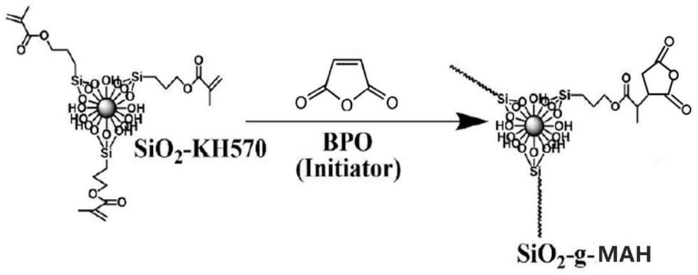 一种纳米二氧化硅接枝马来酸酐增容剂的制备及其在EVA/TPU共混体系中的应用