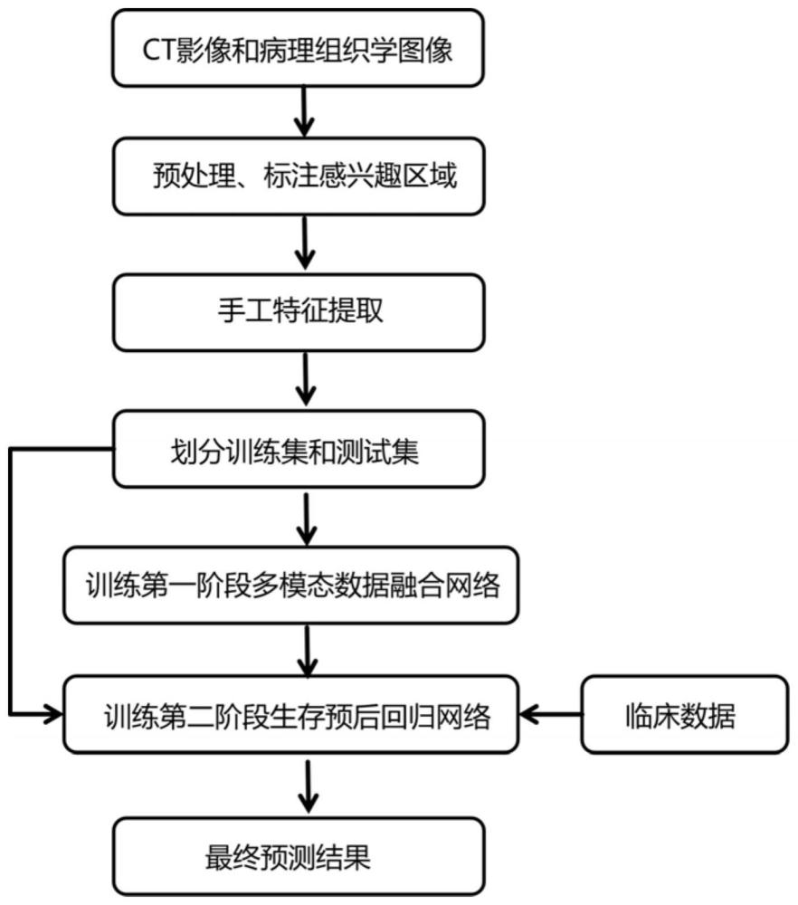 基于交叉Transformer和MLIF的多模态融合生存预后方法