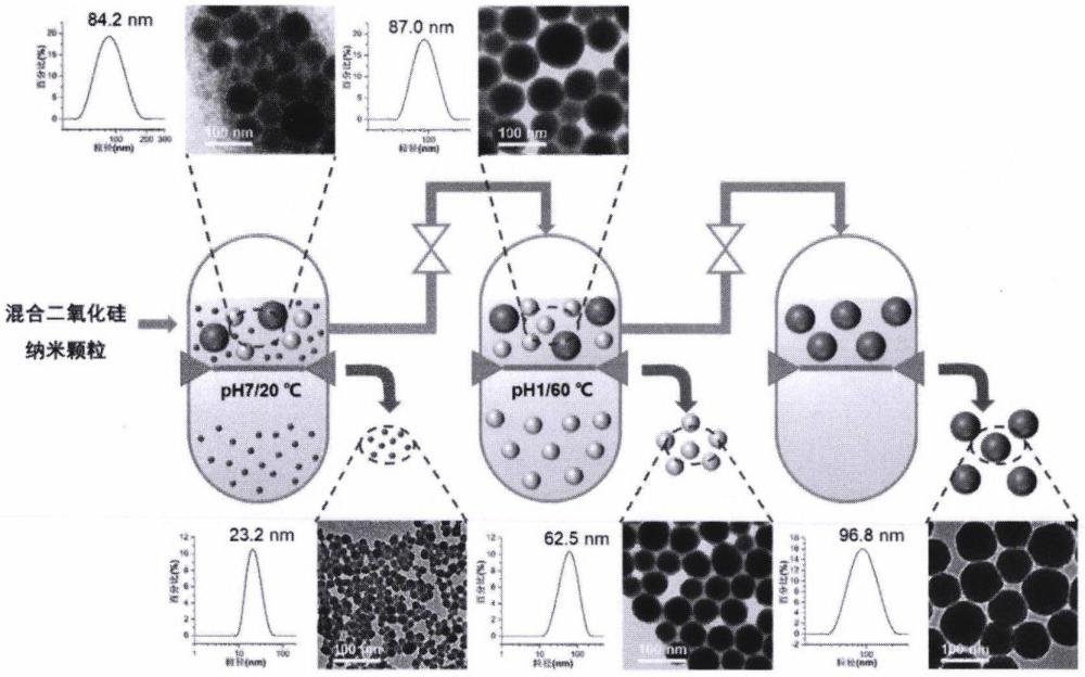 一种具有可变孔径的纳米纤维素基超滤膜制备方法及应用