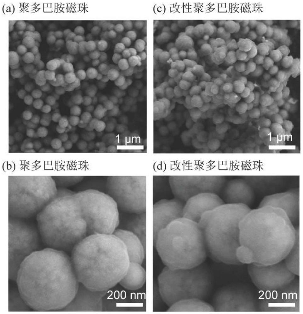 一种改性聚多巴胺磁性纳米材料及其制备方法和应用