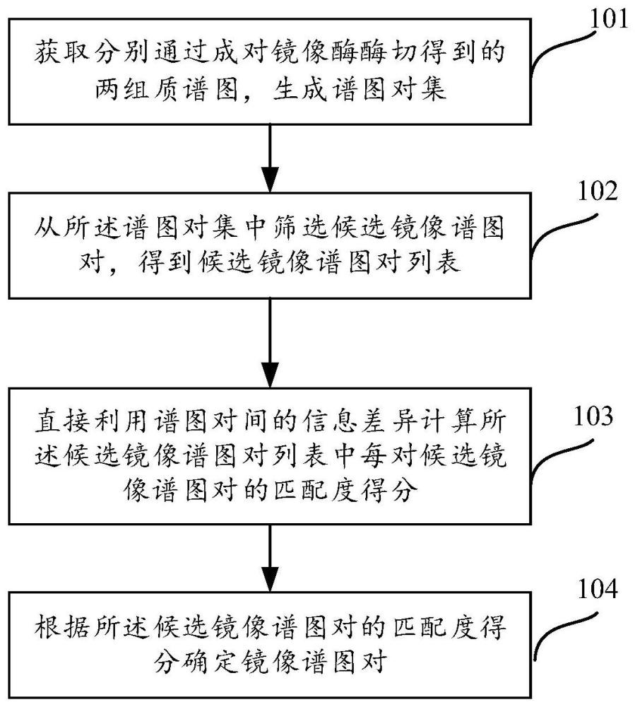 镜像肽段质谱图对识别方法