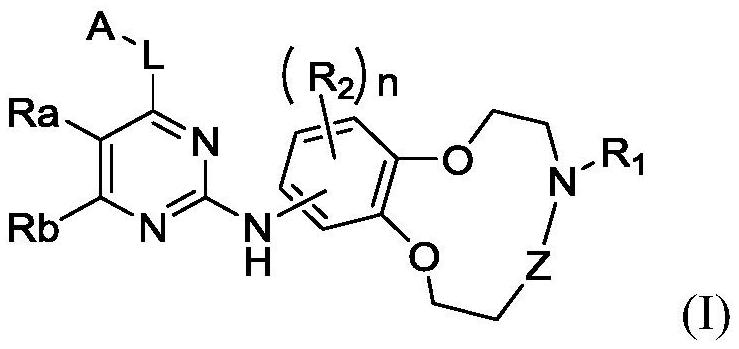 大环含氮冠醚化合物及其作为蛋白激酶抑制剂的应用的制作方法