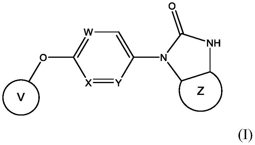 钾通道调节剂的制作方法