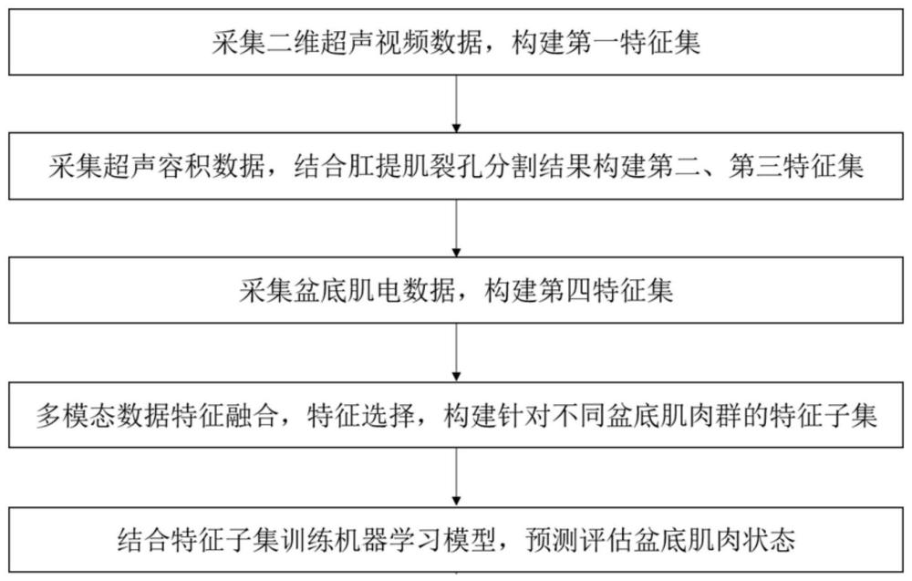 多模态特征数据融合的盆底肌肉AI智能评估系统及方法与流程