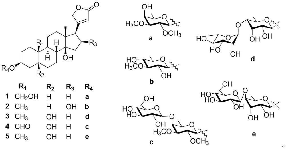 从鹊肾树中提取的强心苷类化合物在制备单纯疱疹病毒抑制剂中的应用