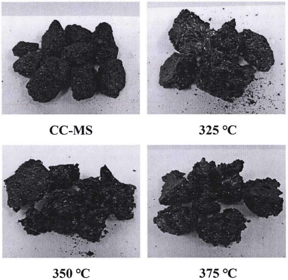 一种具有抗癫痫作用的碳纳米粒子