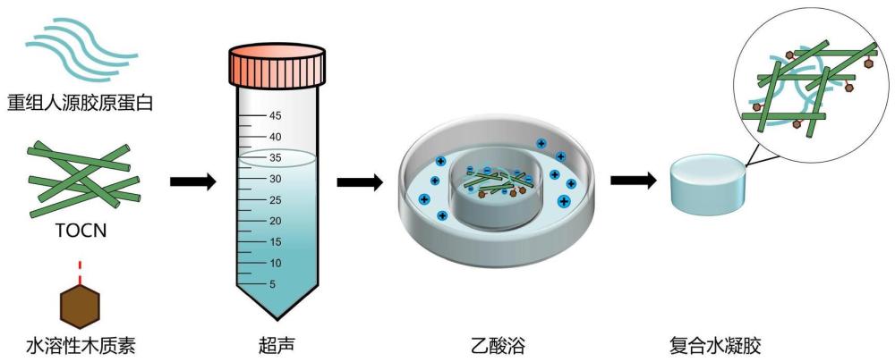 一种胶原蛋白基复合水凝胶及其制备方法与应用