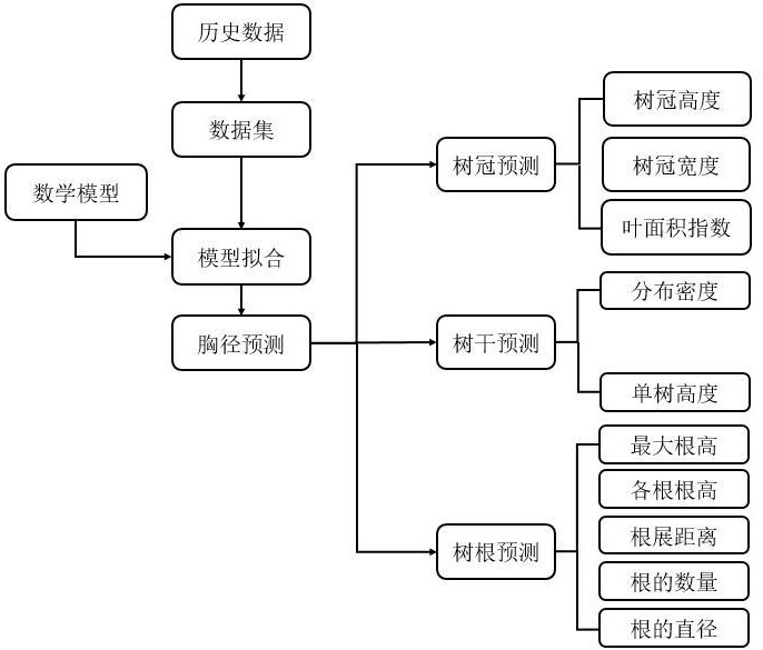 一种考虑树龄、树冠、树干、树根的消浪红树林建模方法