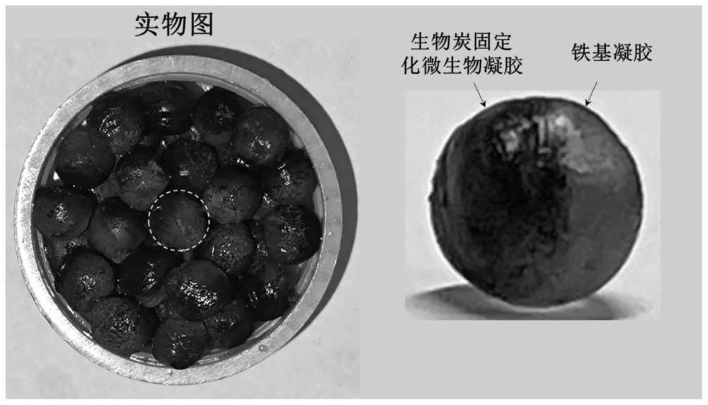 零价铁-生物炭-微生物三元分层凝胶小球及其制备方法和应用