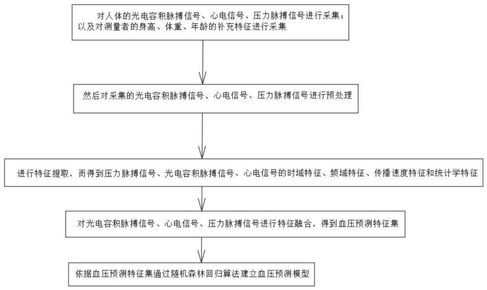 一种融合心电、光电、压力脉搏信号特征的血压预测模型的建立方法