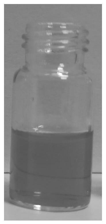 高效双载亲水/疏水药物的桃胶多糖纳米球、制备方法及应用