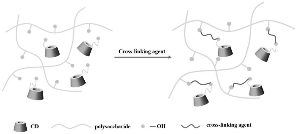 一种基于环糊精修饰多糖的超分子聚合物的制备方法