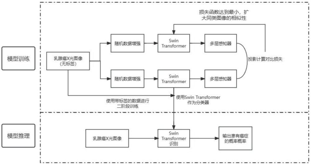 一种基于Swin Transformer和对比学习的乳腺癌识别系统及方法