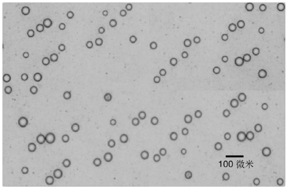 一种亲水-亲油型聚合物微球及其制备方法和应用与流程
