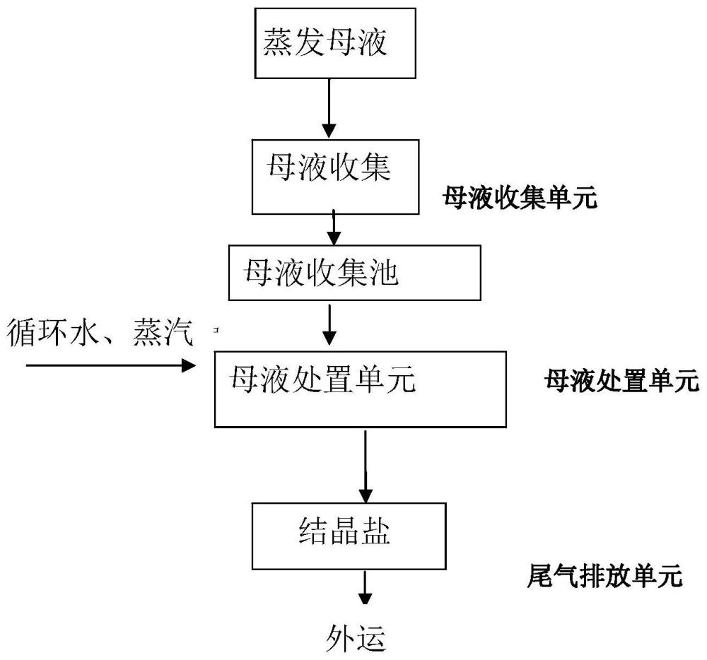 一种废水资源化蒸发结晶母液减量处理装置及方法与流程