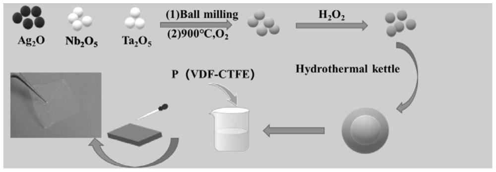 氢氧化镍包覆钽铌酸银颗粒以及介电复合薄膜的制备方法