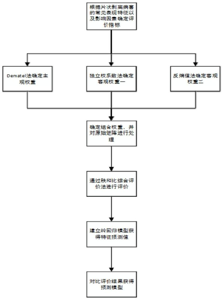 河西走廊明长城遗址片状剥离发育程度评价方法