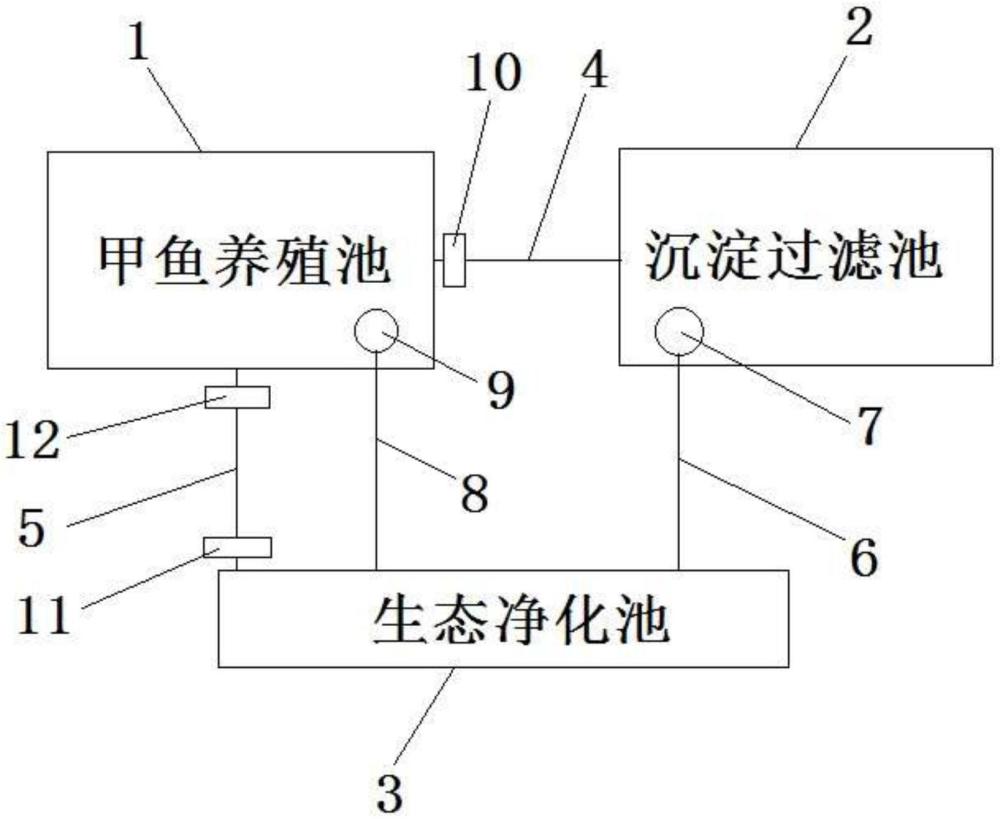 一种用于甲鱼养殖的水循环系统的制作方法