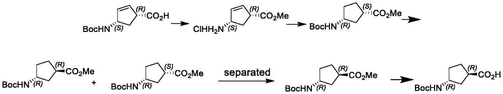 一种手性反式-N-BOC-1-氨基环戊烷-3-甲酸的制备方法与流程