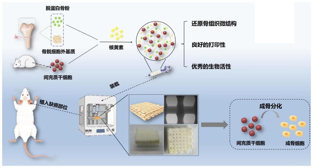 一种脱细胞基质/脱蛋白骨粉复合生物墨水及其制备方法和应用